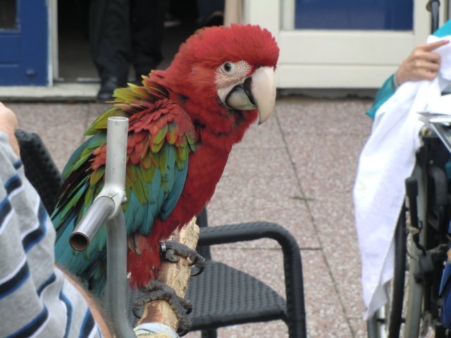 2011-09-04 Wantijpark
